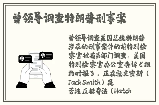 妻子是前不良少女动漫
